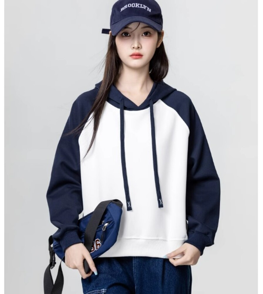 セオリー プロジェクト  24AW 現行 プルオーバー パーカー バイカラー S ブルベ服 バイカラーパーカー（ブルベ冬向け） フード付パーカー